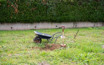 Dig a hole again.